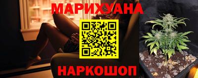 гидра Новозыбков