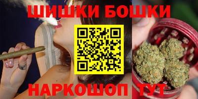 гидра Новозыбков