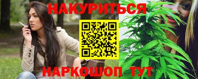 гидра Новозыбков