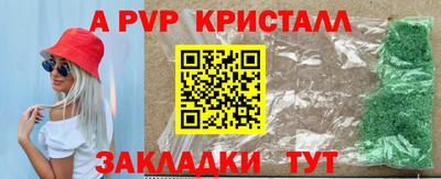 гидра Новозыбков