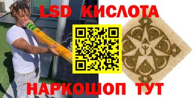 гидра Новозыбков