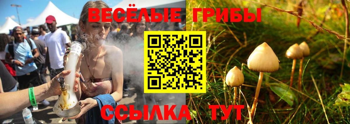ГАШИШ  Бошки Шишки  A PVP СОЛЬ   Советская Гавань  Мефедрон   КОКАИН  Вход с VPN  ТГК 